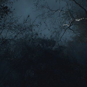 Meet your Posher, Anon